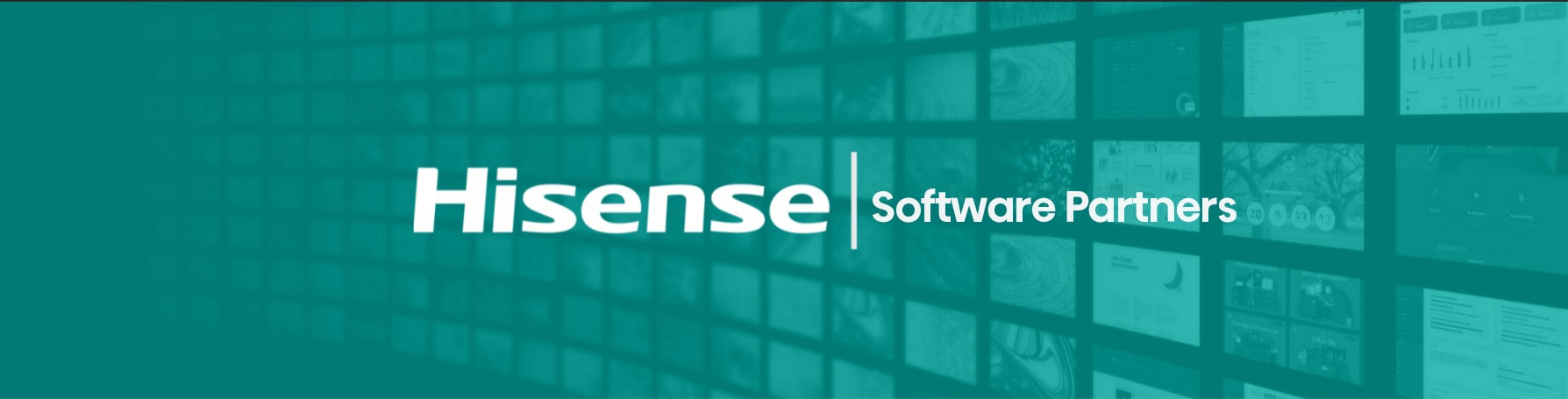 Hisense CMS Partners